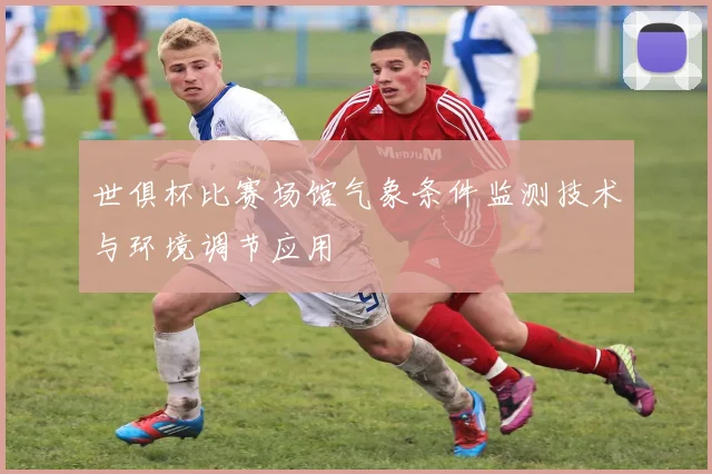 世俱杯比赛场馆气象条件监测技术与环境调节应用